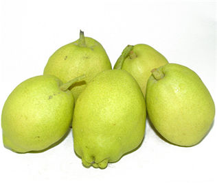 China Fragrance Pear