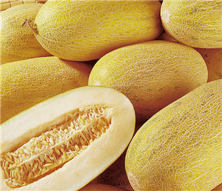 China Hami Melon