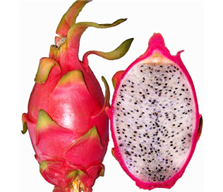 Thailand Dragon Fruit (White)