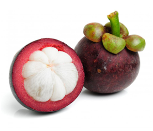 Thailand Mangosteen