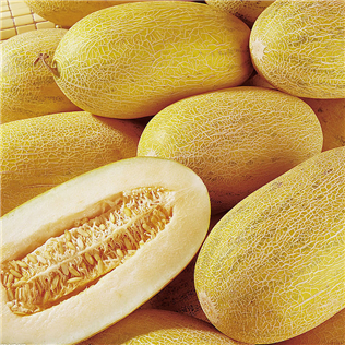 China Hami Melon