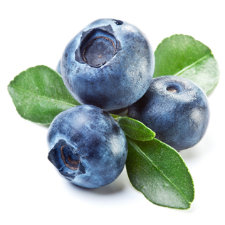 Chile Blue Berries