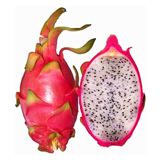 Thailand Dragon Fruit (White)