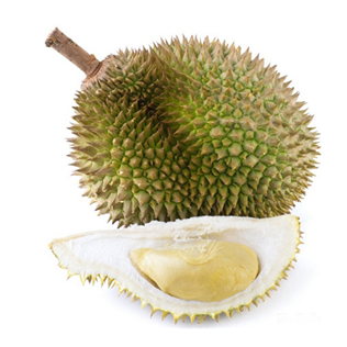 Thailand Durian (Chanee)
