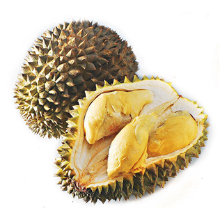 Thailand Durian (MonThong)